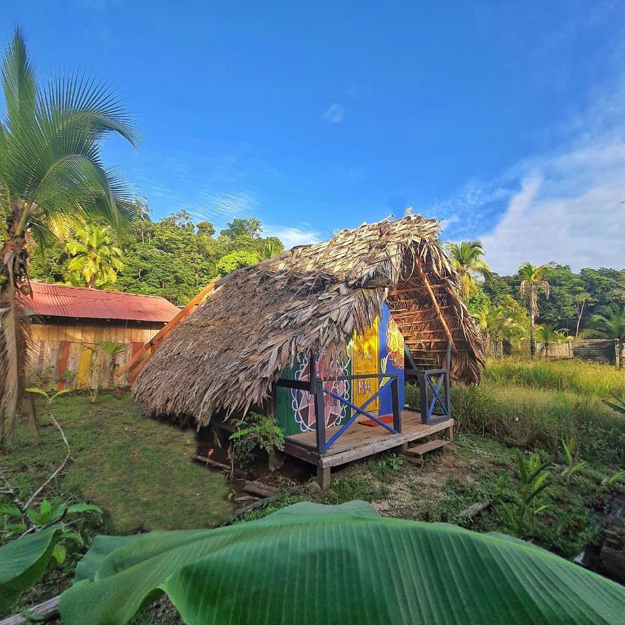 Hakuna Matata Ecolodge El Valle  Eksteriør bilde