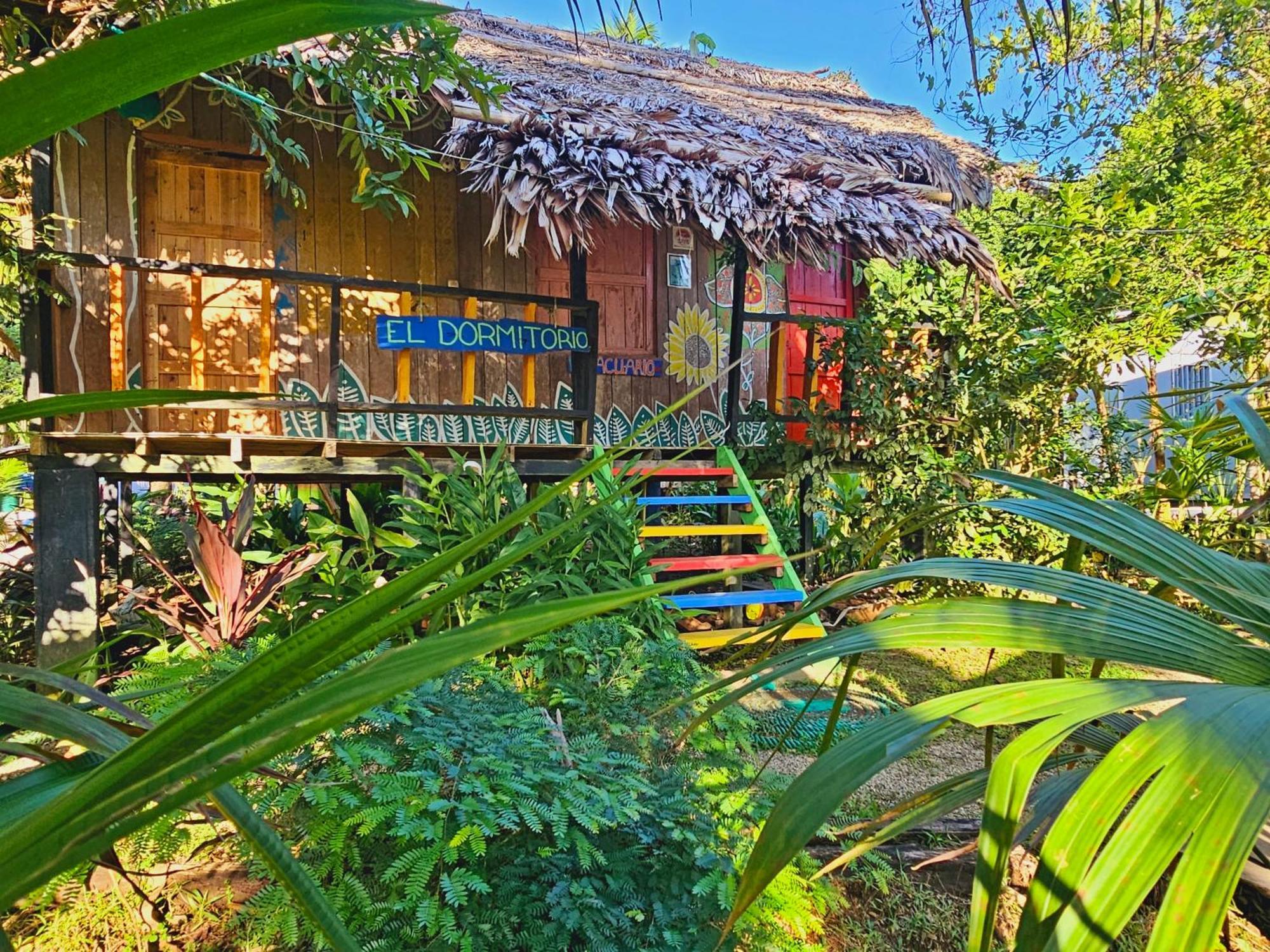 Hakuna Matata Ecolodge El Valle  Eksteriør bilde